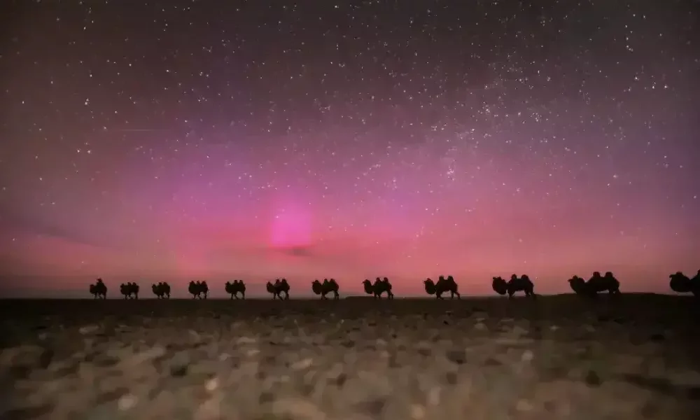 Camel Riding in the Gobi Desert: What to Expect & How to Prepare